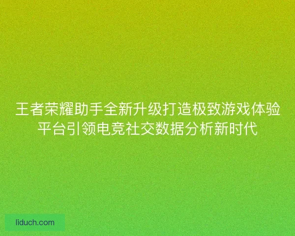 王者荣耀助手全新升级打造极致游戏体验平台引领电竞社交数据分析新时代