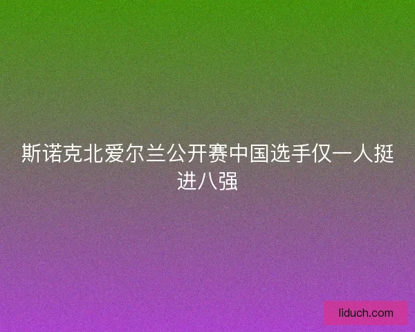 斯诺克北爱尔兰公开赛中国选手仅一人挺进八强