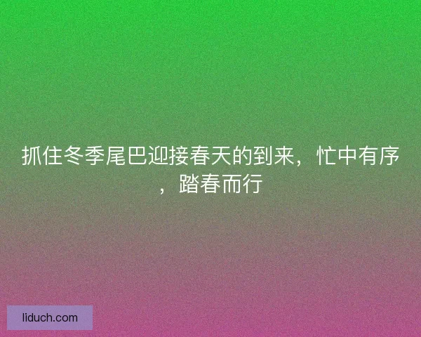 抓住冬季尾巴迎接春天的到来，忙中有序，踏春而行